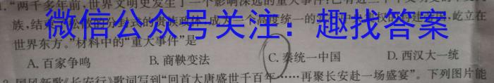 湖南省2023届高三一起考大联考(5月)历史