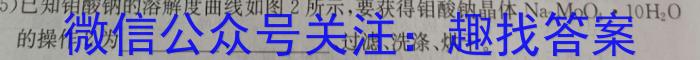 江西省2023年初中学业水平考试冲刺（二）化学