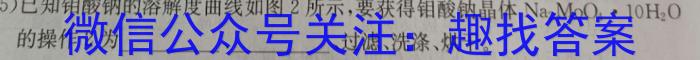 ［济宁三模］济宁市2023年高考模拟考试化学