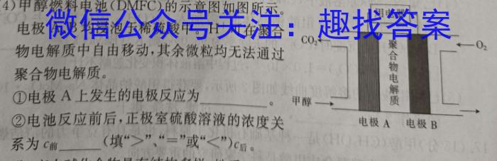 陕西省2023年九年级教学质量检测（正方形套黑色菱形）化学