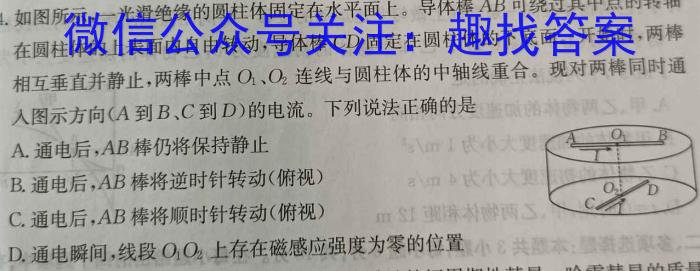 江西省2023年“三新”协同教研共同体高二联考(WLJY2305)物理`