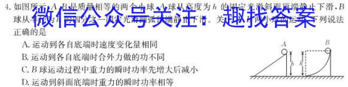 安徽第一卷·2023年中考安徽名校大联考试卷（三）物理`