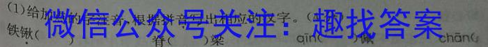 云南师大附中(云南省)2023届高考适应性月考卷(白白黑白黑白白白)(十)语文