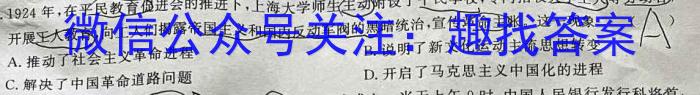 安徽省芜湖市无为市2022-2023学年九年级中考模拟检测（二）历史