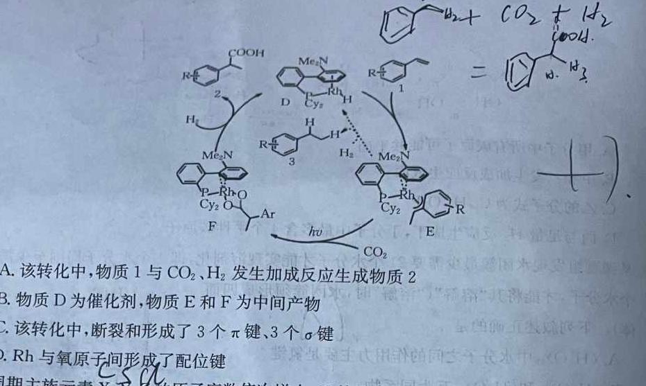 2023届北京专家信息卷 押题卷(一)化学