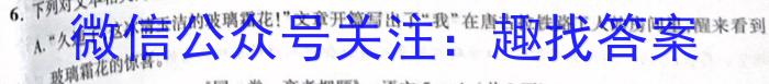 安徽省2023年中考导航总复习三轮模拟（一）语文