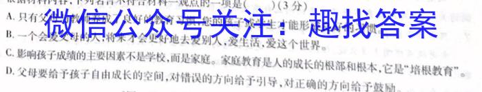 陕西省2023年九年级教学质量检测（正方形套黑色菱形）语文