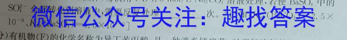 金考卷·2023年普通高招全国统一考试临考预测押题密卷(新)化学