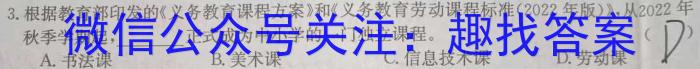 2023年湖南新高考教学教研联盟高一5月联考s地理