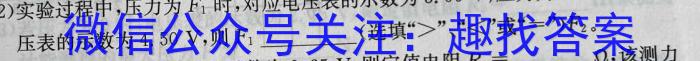 2023年山西中考模拟百校联考试卷(三)l物理