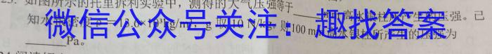 安徽省池州市2023年九年级中考模拟（三）l物理