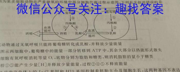 2023年高三5月大联考（全国乙卷）生物