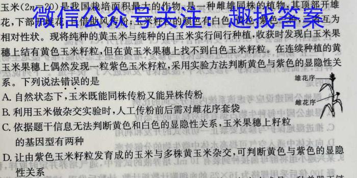 ［衡水大联考］2023届高三年级5月份大联考（新教材）生物