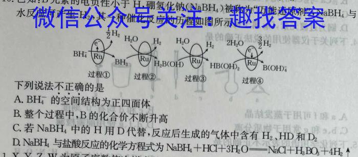 师大名师金卷2023年陕西省初中学业水平考试（六）化学