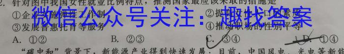 华大新高考联盟2023年名校高考预测卷(全国卷)政治1