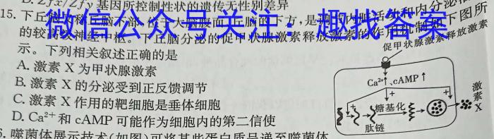 2023年广西三新联盟高二年级5月联考生物试卷答案