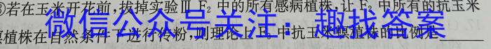 2023年普通高等学校招生全国统一考试信息模拟测试卷(新高考)(四)生物试卷答案