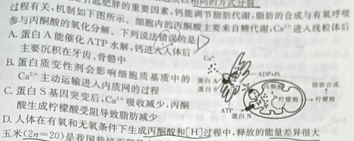 河南省2022-2023学年下期高一年级期末联考生物