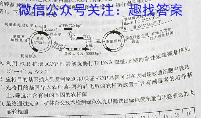 2024届准高三6月摸底考(全国乙卷)生物试卷答案