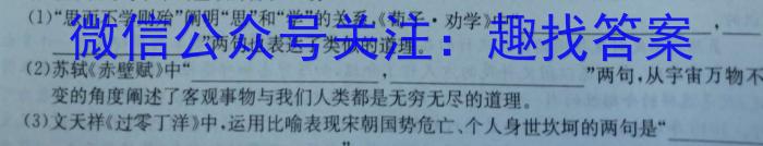 皖智教育安徽第一卷·省城名校2023年中考最后三模(三)语文