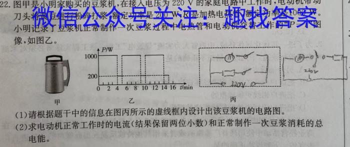 安徽省2023年九年级阶段调研（5月）物理`