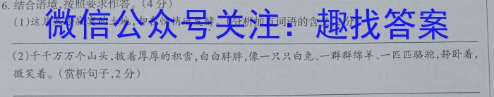 [国考1号2]第2套 2024届高三暑期补课检测(二)语文