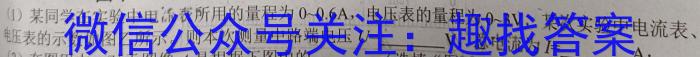 河北省2024届高三试卷9月联考(灯泡 HEB)q物理
