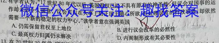 2023-2024学年度湖北省部分学校九年级调研考试历史