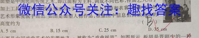 2023年先知冲刺猜想卷 老高考(二)f物理