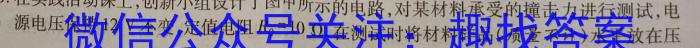 新时代NT名校联合体2022-2023学年高二第二学期期中考试l物理