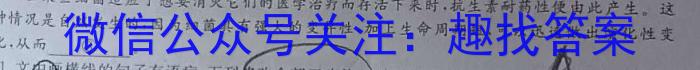 长沙市第一中学2022-2023学年度高一第二学期第二次阶段性考试语文