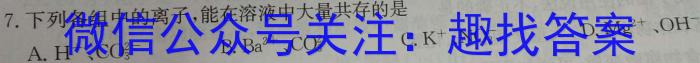 2023年全国普通高等学校统一招生考试 考前检测试卷(新高考)(二)2化学