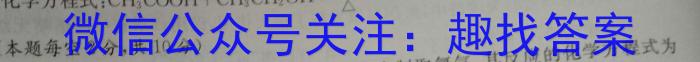 文博志鸿 2023年河南省普通高中招生考试试卷(夺冠一)化学