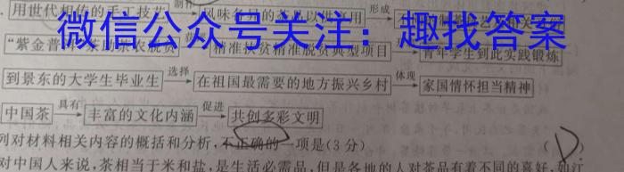 2023年河北省初中毕业生升学文化课模拟考试（二）语文