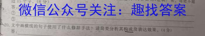 河北省2022~2023学年高一第二学期期末调研考试(23-512A)语文