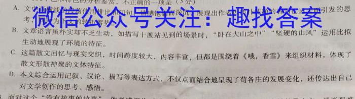 2023年中考第三次模拟考试试题（卷)语文