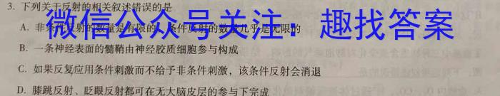 2023-2024上学期衡水金卷先享题月考卷高三六调(新教材)数学