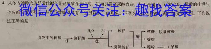 安徽省2023届九年级下学期教学评价三数学