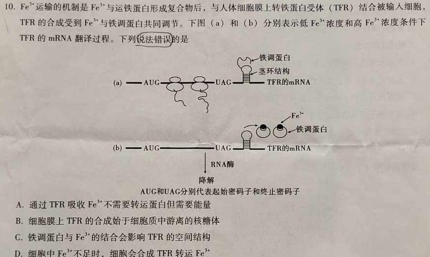 河池市2023年春季学期高二年级期末教学质量检测生物