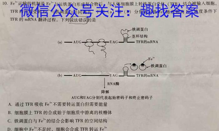 2024届分科综合检测卷(六)数学