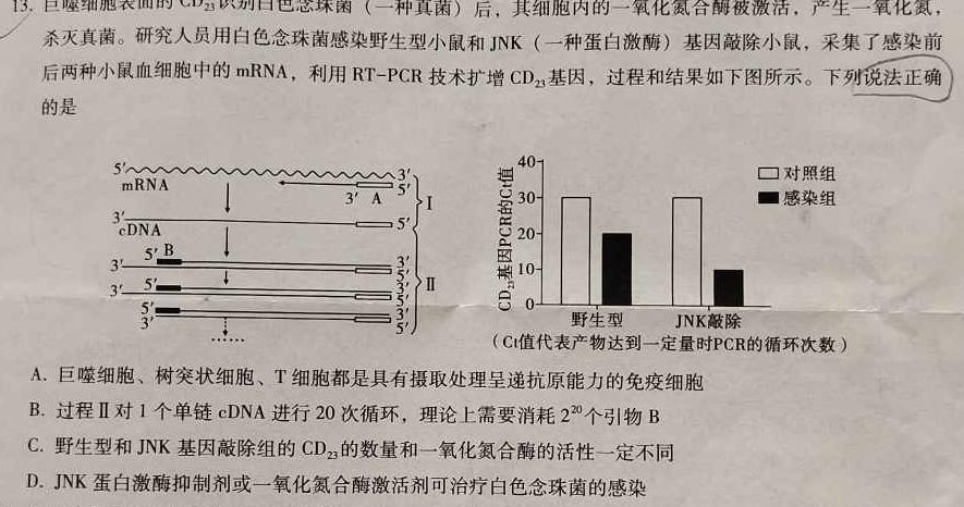河南省焦作市普通高中2022-2023学年高二下学期期末考试数学考试