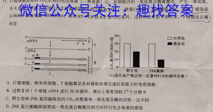 天一大联考2022-2023学年高二年级阶段性测试（四）生物