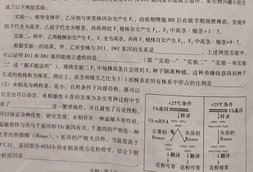 文博志鸿 2023年河南省普通高中招生考试模拟试卷(冲刺一)数学考试试题及答案