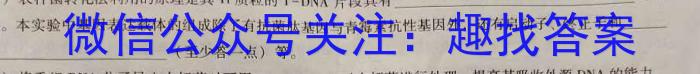 2024年河南省八年级中招导航模拟试卷(六)6数学