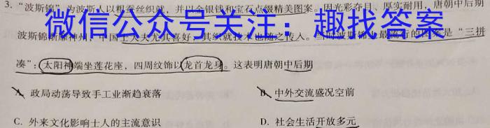 天一大联考 2022-2023学年高二年级阶段性测试(五)历史