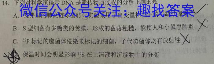 2024年陕西省初中学业水平考试仿真卷(五)5数学