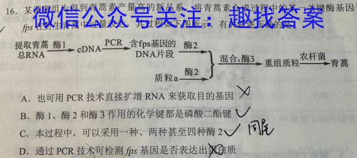 辽宁省名校联盟2022-2023学年高一下学期6月联合考试数学