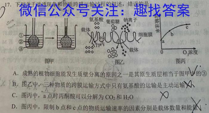 山东省2024年全国普通高考模拟考试(2024.05)数学