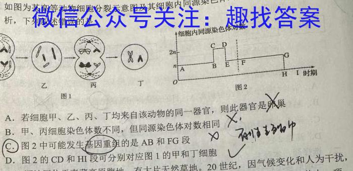 [南开十检]重庆南开中学高2023届高三第十次质量检测(2023.5)数学
