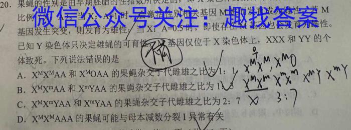 文博志鸿 2023年河南省普通高中招生考试模拟试卷(信息卷一)数学